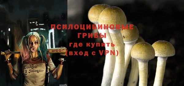 соль ск Лабытнанги