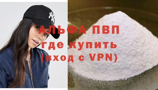 PSILOCYBIN Ладушкин