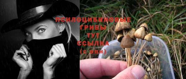 PSILOCYBIN Ладушкин