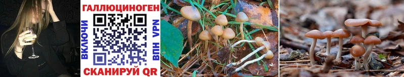 сколько стоит Курлово hydra сайт Галлюциногенные грибы Magic Shrooms