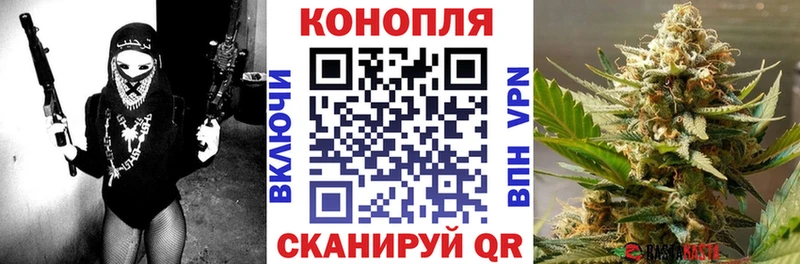 купить наркотики сайты  Курлово  Шишки марихуана White Widow 